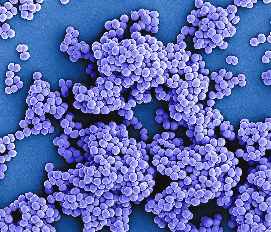 I piani contro l’antibiotico-resistenza ignorano il genere